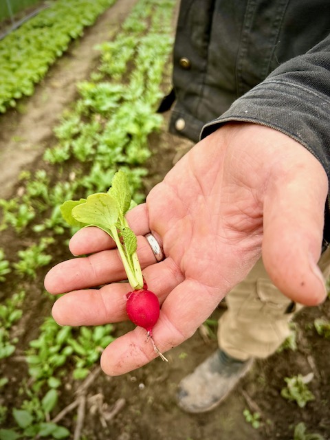 Get Ready for Easter: Fresh Produce and Special&nbsp;Deals