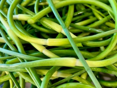 Easy Fermented Garlic Scape Paste&nbsp;Recipe