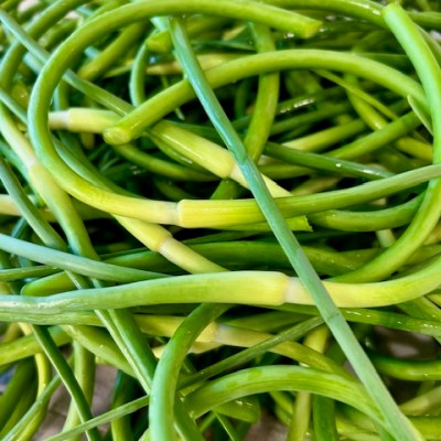 Easy Fermented Garlic Scape Paste&nbsp;Recipe