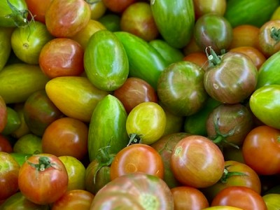 Harvest Your Own: U-Pick Veggies This&nbsp;Fall