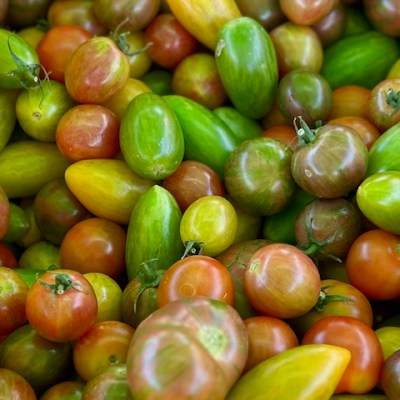 Harvest Your Own: U-Pick Veggies This&nbsp;Fall