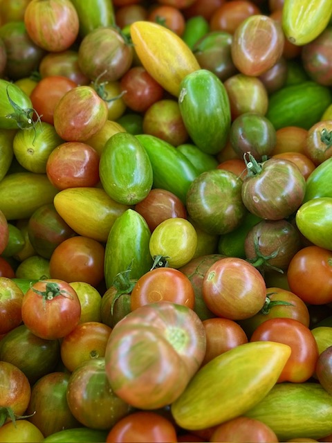 Harvest Your Own: U-Pick Veggies This&nbsp;Fall