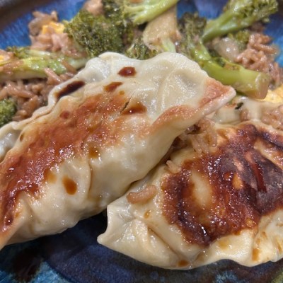 Explore Harmony Kitchen’s Latest Delights:  Pork and Cabbage Dumplings (and&nbsp;more)