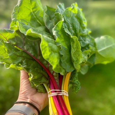 Simple Swiss Chard: One Recipe, Many&nbsp;Options