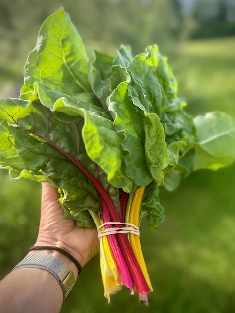 Simple Swiss Chard: One Recipe, Many&nbsp;Options